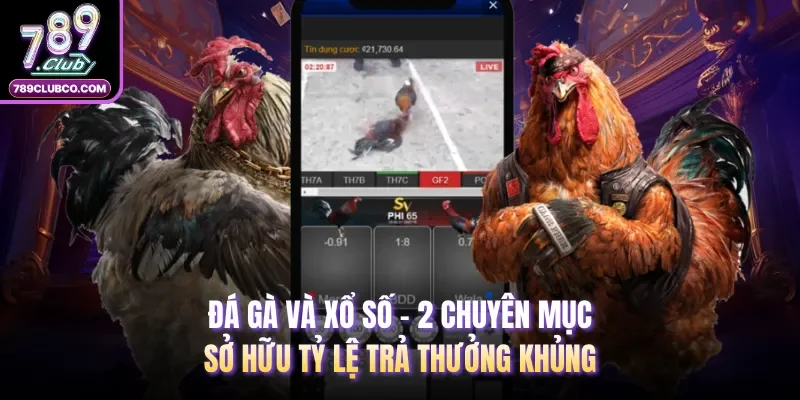 Đá gà và xổ số - 2 chuyên mục sở hữu tỷ lệ trả thưởng khủng