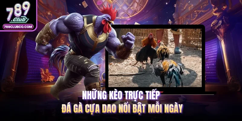 Những kèo trực tiếp đá gà cựa dao nổi bật mỗi ngày