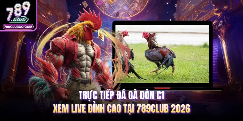 Trực Tiếp Đá Gà Đòn C1 - Xem Live Đỉnh Cao Tại 789Club 2026